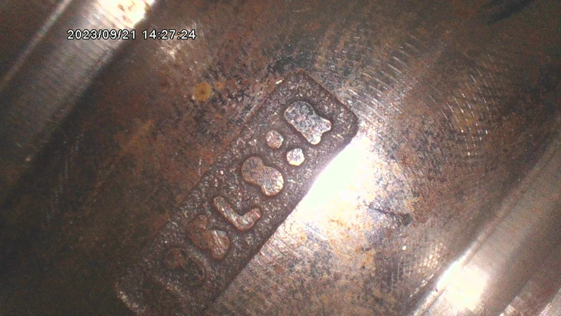 X600 HD — Imagen a través de la sonda